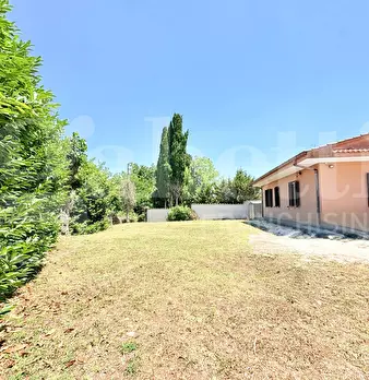 Foto annuncio 6