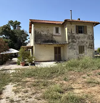 Foto annuncio 45