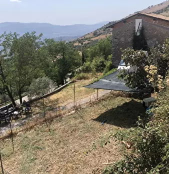 Foto annuncio 26
