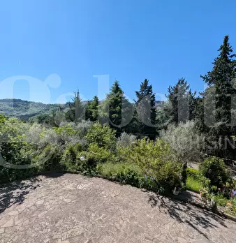Foto annuncio 18