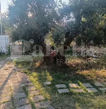 Foto annuncio 12