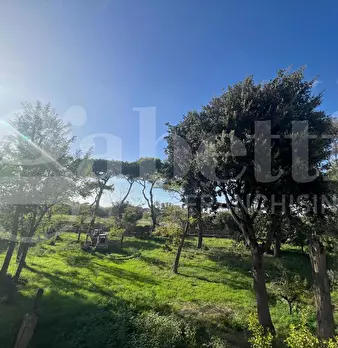 Foto annuncio 30