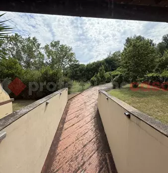 Foto annuncio 19
