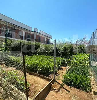 Foto annuncio 34