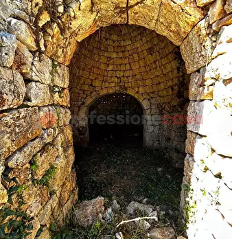 Foto annuncio 8