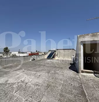 Foto annuncio 45