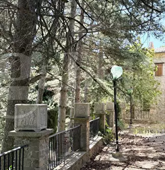 Foto annuncio 13