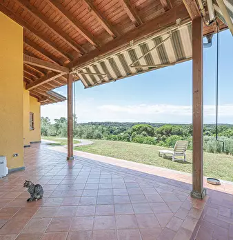 Foto annuncio 25
