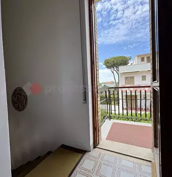 Foto annuncio 29