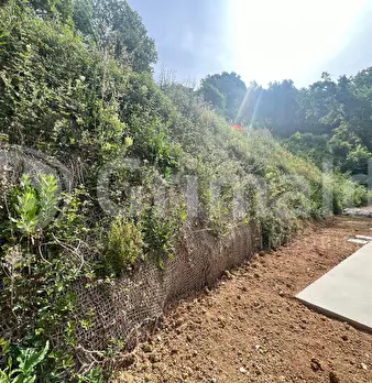 Foto annuncio 19
