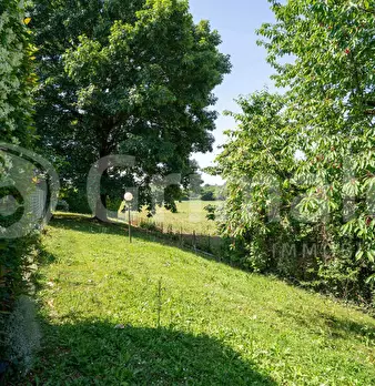 Foto annuncio 30