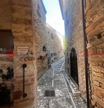 Foto annuncio 26