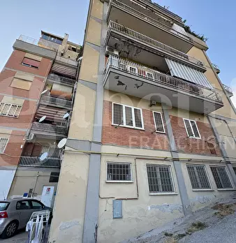 Foto annuncio 7