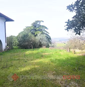 Foto annuncio 19