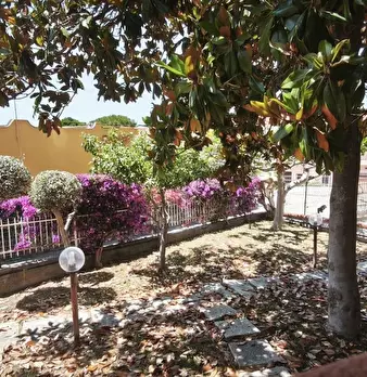 Foto annuncio 15