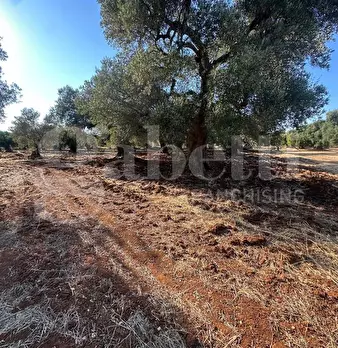 Foto annuncio 3