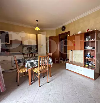 Foto annuncio 7
