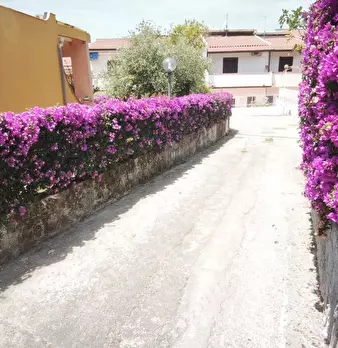 Foto annuncio 24
