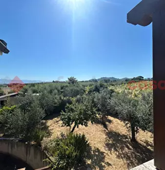 Foto annuncio 40
