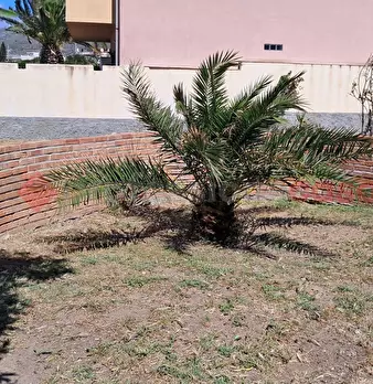 Foto annuncio 13