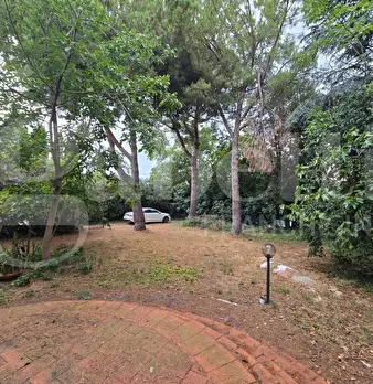 Foto annuncio 41