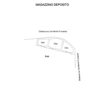 Foto annuncio 47