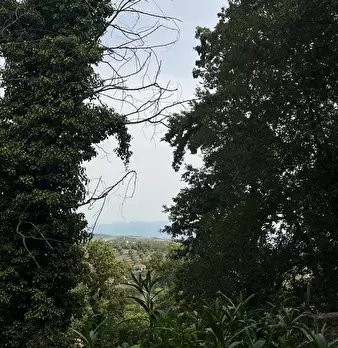 Foto annuncio 20