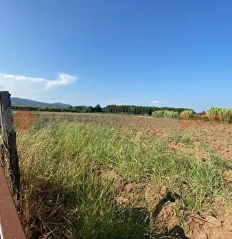 Foto annuncio 33