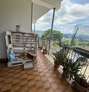 Foto annuncio 43