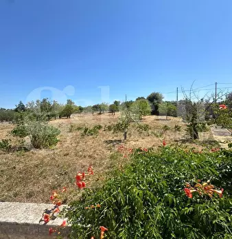 Foto annuncio 15