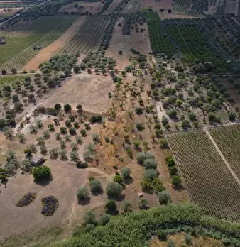 Foto annuncio 6