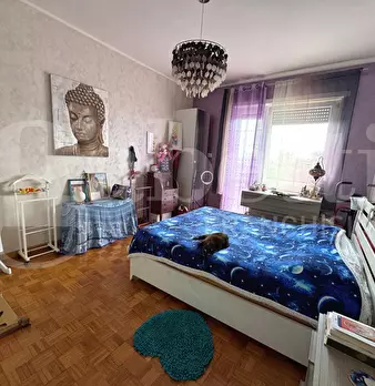 Foto annuncio 6