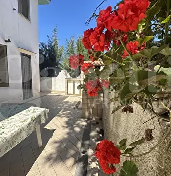 Foto annuncio 12