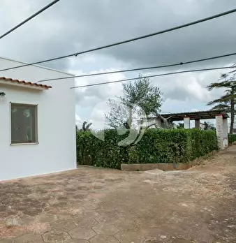 Foto annuncio 35