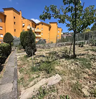 Foto annuncio 21