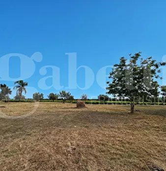 Foto annuncio 9
