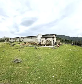Foto annuncio 5