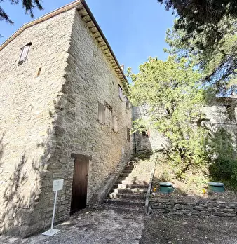 Foto annuncio 19