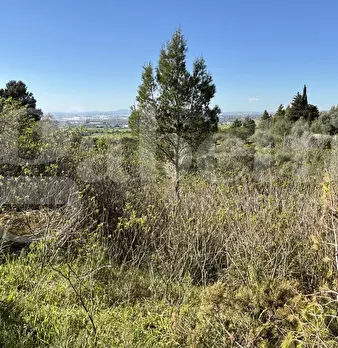 Foto annuncio 19