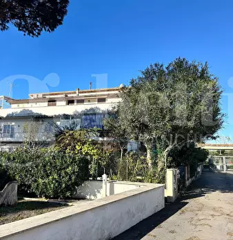 Foto annuncio 20