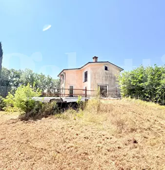 Foto annuncio 42