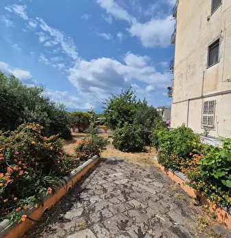 Foto annuncio 4