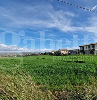 Foto annuncio 8