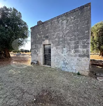 Foto annuncio 3
