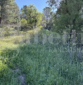 Foto annuncio 17