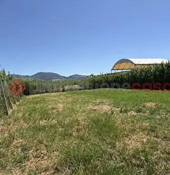 Foto annuncio 24
