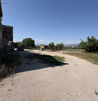 Foto annuncio 11