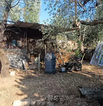 Foto annuncio 16
