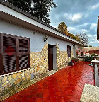 Foto annuncio 10