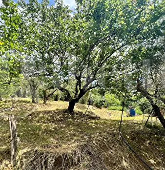 Foto annuncio 16